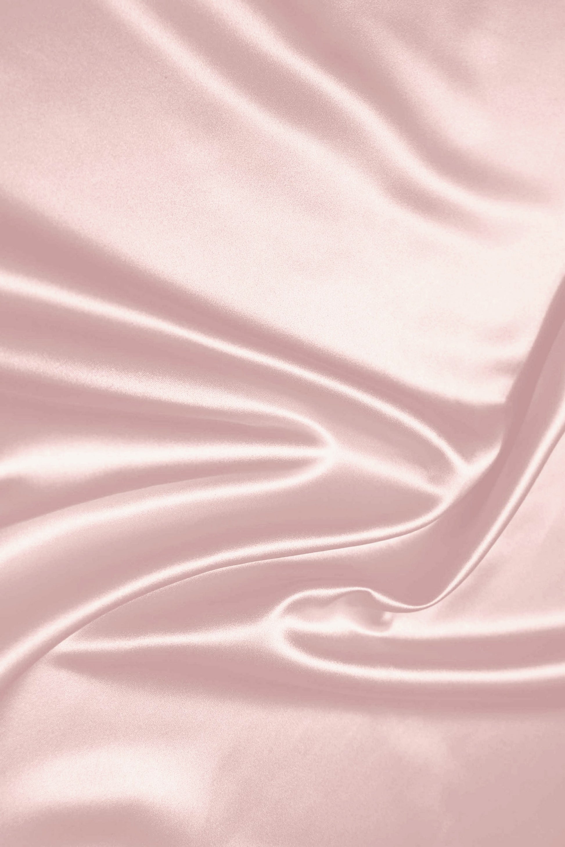 [Rose Poudré]